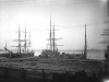 bertha-and-sullivan