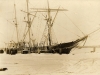 in-the-arctic