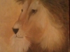 NextGen ScrollGallery thumbnail