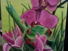 NextGen ScrollGallery thumbnail