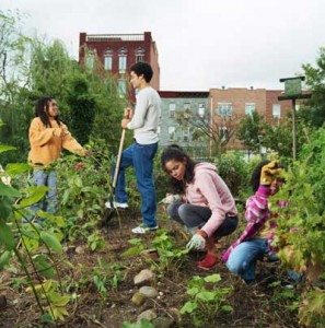 community garden new bedford guide