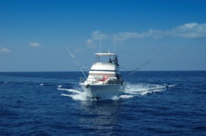 charter fishing new bedford guide