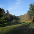 Rochester Golf Course Nestled among the cranberry bogs and tilled soil lining the country roads of Rochester lies the Rochester Golf Course. Less than a 20 minute drive from downtown New Bedford, this...