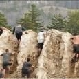 Tough Mudder Last weekend, NBG's Noah Griffith competed in the Tough Mudder competition in Vermont.