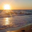 A Trip to the Vineyard Amy Knox has been going to Martha's Vineyard every summer for the last 16 years. Find out her favorite spots to visit.