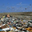 It Pays to Recycle….Really! Did you know the materials in your blue bin earn money for the New Bedford community? It’s true. Things that get recycled at the curb, like paper, cans and bottles,...