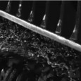 After the Storm: Lessons from the Northern Edge The Dock-u-mentaries film series continues on Friday, November 18th at 7pm with After the Storm: Lessons from the Northern Edge, a film by JD Marlow and Amanda Bergeron. The film...