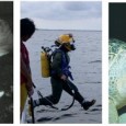 The Ocean Explorium now has an “Explorer in Residence.” A native of New Bedford, Rhonda Moniz is an underwater cinematographer, a diving safety officer and a pilot and engineer for...