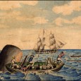 Chocolate Day at the Whaling Museum (25 Feb) Mocha Dick is purported to have been a real sperm whale that terrorized whaling crews in the 1830s. Some scholars believe he was the inspiration for Herman Melville’s great white...