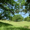 Nationally-renowned author and environmental advocate Richard Louv will give a major presentation in New Bedford on “The Nature Principle and The New Nature Movement.”  Louv’s lecture will focus on the...
