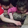 Free Maritime Summer Camp Program New Bedford Whaling National Historical Park and the Working Waterfront Festival are teaming up to offer 2 one-week summer camp programs for New Bedford children ages 9-10 (entering grades 4...