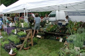 dartmouth-ma-farmers-market Dartmouth MA Farmers Market