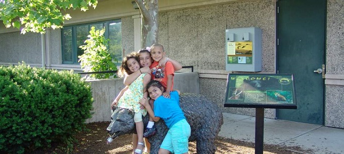 7 Reasons Why You Should Visit The Buttonwood Park Zoo New Bedford Guide