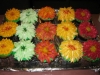cyds creative kitchen harvest cupcakes