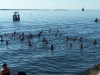 2-first-wave-of-swimmers-jpg
