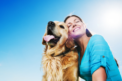 Group Ranks Most and Least Pet-Friendly States – New Bedford Guide