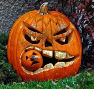 Halloween Special: Out of the Ordinary Pumpkins! – New Bedford Guide