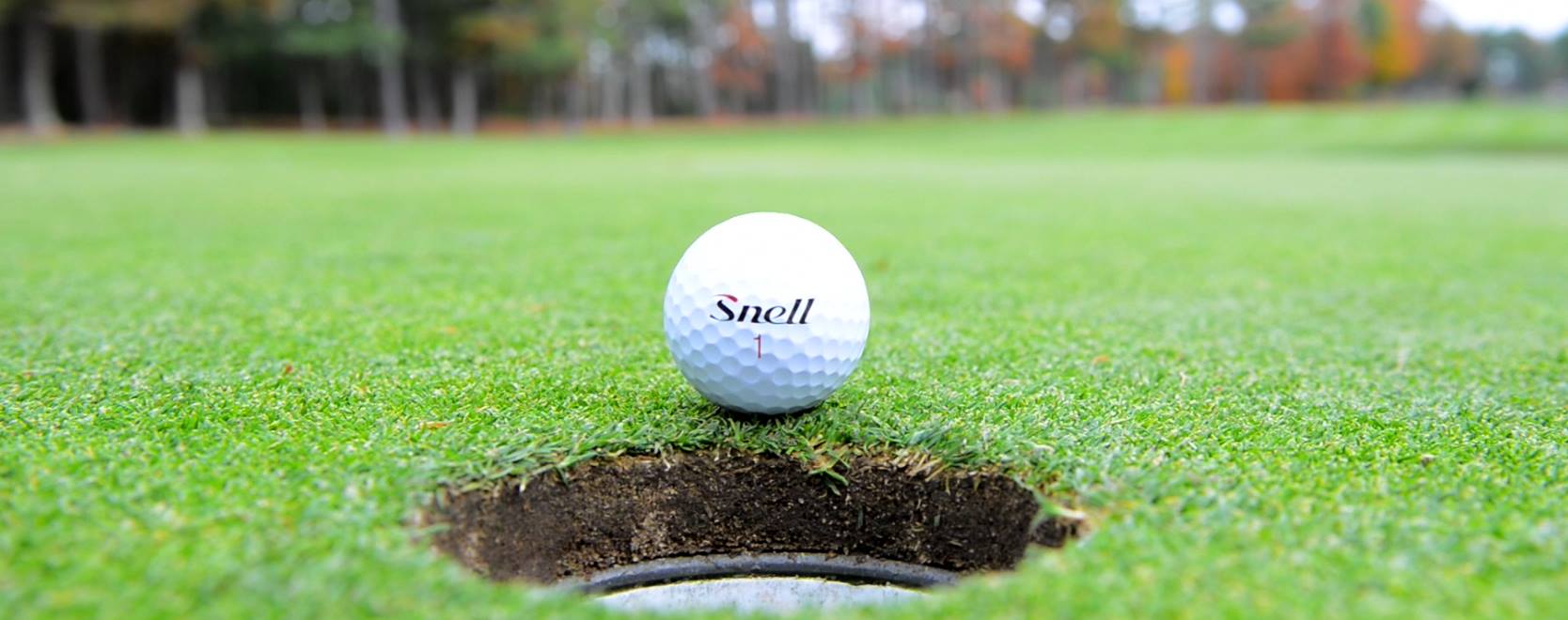 Snell Golf: Innovation Meets Motivation – New Bedford Guide